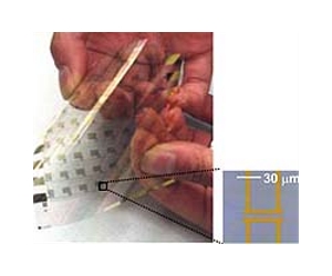 Plastic Electronics Could Slash The Cost Of Solar Panels