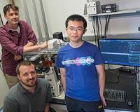 Modified bacteria become a multicellular circuit