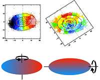 Spinning rugby balls: The rotation of the most massive galaxies