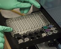 Oceanographers grow, sequence genome of ocean microbe important to climate change