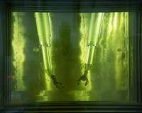 First neutron beam produced: A great milestone for CSNS
