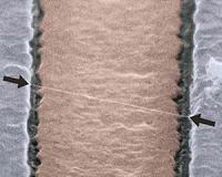 Measuring nano-vibrations