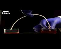 New 3-D printing method promises vastly superior medical implants for millions