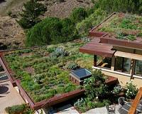Three native aromatics indicated for use in Mediterranean extensive green roofs