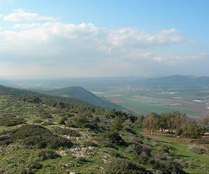 Global Warming has driven Europe's Mountain Plants to Migrate 2.7 m Upwards in 7 Years