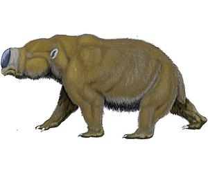 Demise of large animals caused by both man and climate change