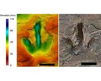 Carnivourous dinosaurs strolled around in Germany