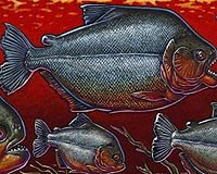 New Fossil Tells How Piranhas Got Their Teeth