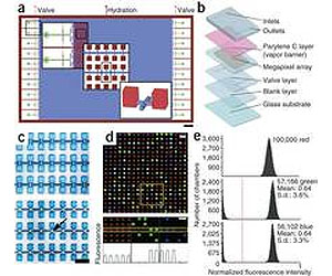 UBC 'megapixel' DNA replication technology promises faster, more precise diagnostics
