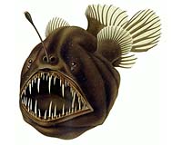 New Fish Has A Face Even Dale Chihuly Could Love