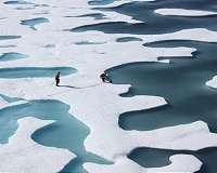 Is Arctic sea ice doomed to disappear?