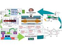 The concept of creating brain-on-chip revealed