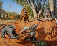 Megafaunal extinctions driven by too much moisture