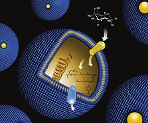 The Future Of Metabolic Engineering - Designer Molecules, Cells And Microorganisms