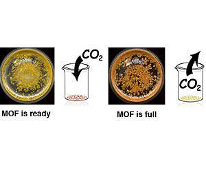 Edible Carbon Dioxide Sponge