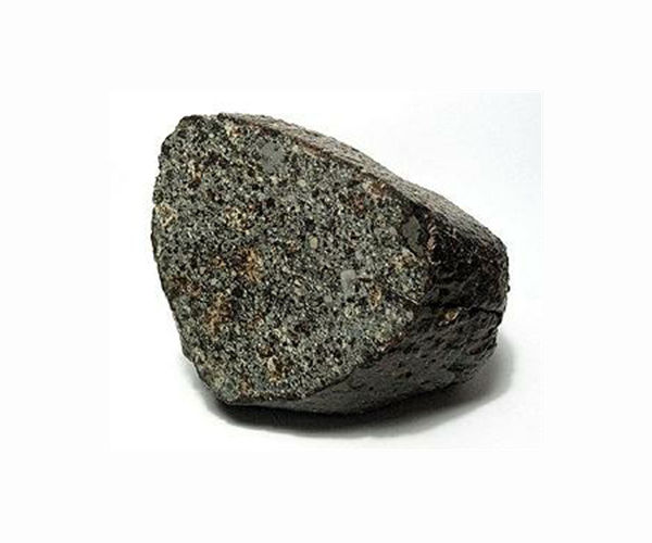 Rare meteorite could hold secrets to life on Earth