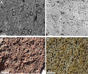 CSI-style investigation of meteorite hits on Earth