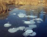 Diffusing the methane bomb: We can still make a difference