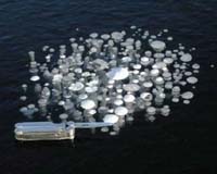 Methane gas oozing up from Siberian seabed: Swedish researcher