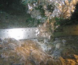 Understanding methane's seabed escape