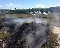 Researchers tackle methane emissions with gas-guzzling bacteria