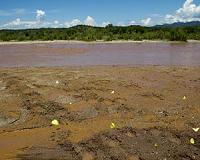 Mexico closes 80 schools after chemical leak