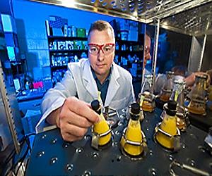 Second-generation ethanol processing is cost prohibitive