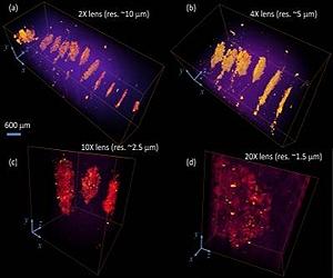 Force Of Acoustical Waves Tapped For Metamaterials