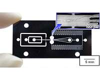 On-chip pumps achieve high-speed sorting of large cells