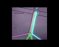 10,000 windows onto biomolecular information processing