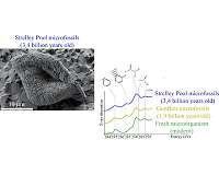 Microfossils, possibly world's oldest, had biological characteristics