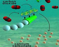 Tiny carbon-capturing motors may help tackle rising carbon dioxide levels