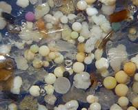 Microplastics found deep in the middle of the ocean
