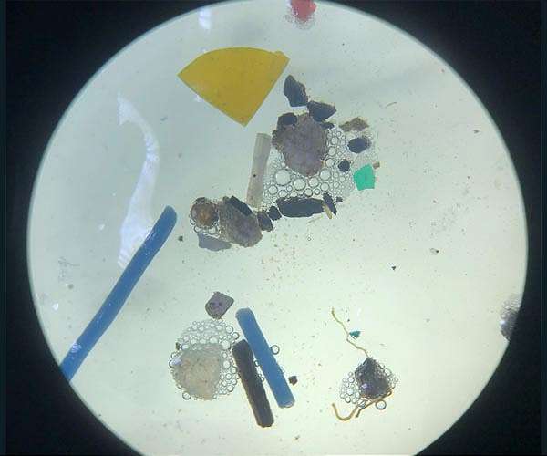 Microplastic pollution in European lakes is more extensive than scientists thought