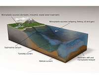 Scientists find highest ever level of microplastics on seafloor