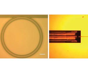 Microring device could aid in future optical technologies