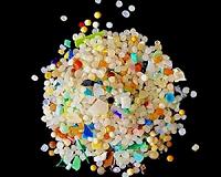 'Plastic-eating' microbes help marine debris sink: study