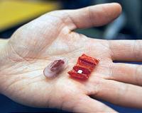 Ingestible robot operates in simulated stomach
