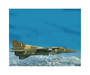 India call violation of Pakistan airspace 'technical'