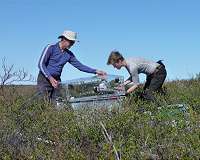 Arctic plants may not provide predicted carbon sequestration potential