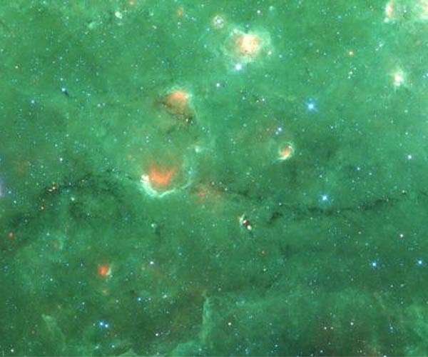 The Magnetic Field in Milky Way Bones