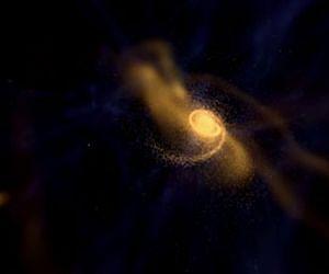 Just Four Percent of Galaxies Have Neighbors Like the Milky Way