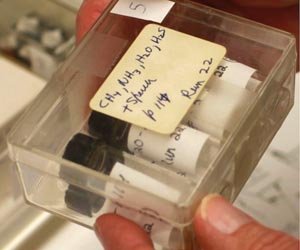 Life Stinks Says New Analysis