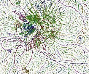 Evolutionary biologists urged to adapt their research methods