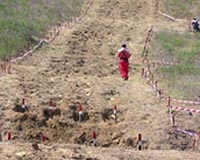 Mine-infested Colombia to begin removal in weeks