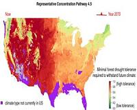 US climate pledges likely to go unmet: study
