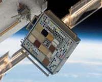 Endeavour Carries Millions Of Basil Seeds Up And Back