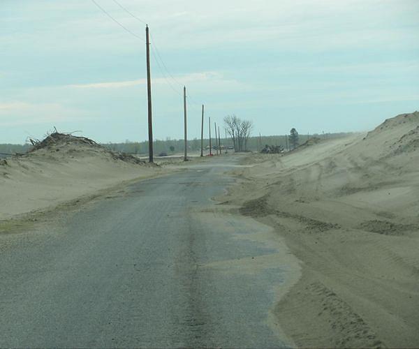 Texas coast uses Christmas trees to rebuild storm-ravaged dunes