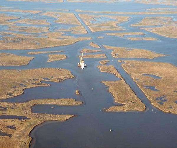 Low water level on Mississippi River hurts US grain shipping
