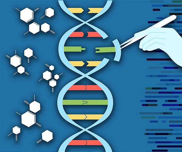 New CRISPR-based tool inserts large DNA sequences at desired sites in cells